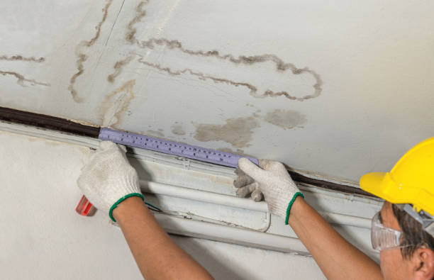 Reliable Burst Pipe Cleanup contractor in Mokena, IL by Water Damage Irwin